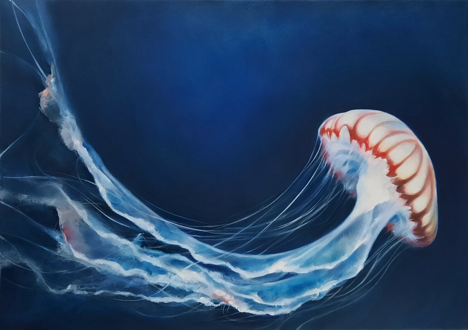 Jelly Dancer Oil Painting Jellyfish